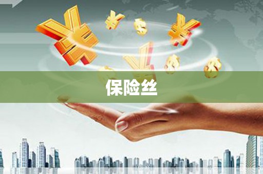 金湾保险丝