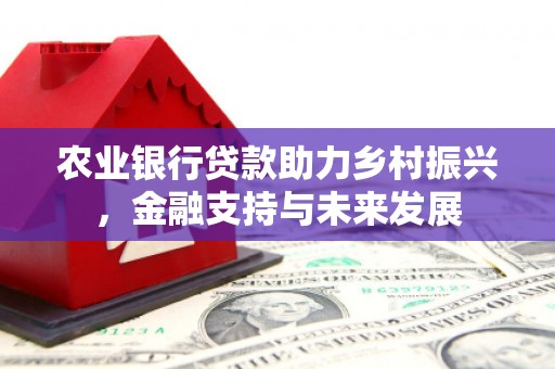 金湾农业银行贷款助力乡村振兴，金融支持与未来发展