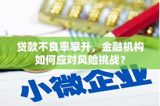 金湾贷款不良率攀升，金融机构如何应对风险挑战？