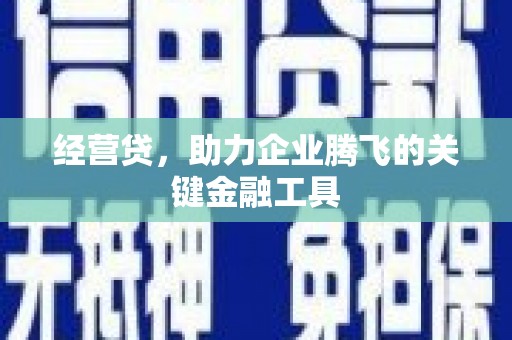 金湾经营贷，助力企业腾飞的关键金融工具