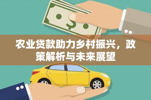 金湾农业贷款助力乡村振兴，政策解析与未来展望
