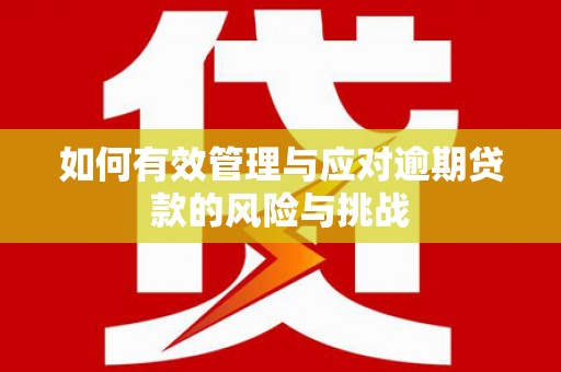 金湾如何有效管理与应对逾期贷款的风险与挑战