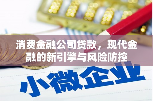 金湾消费金融公司贷款，现代金融的新引擎与风险防控