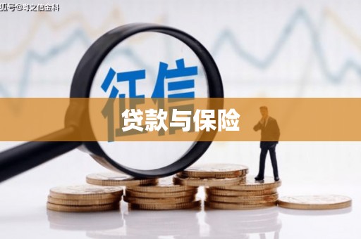 金湾贷款与保险