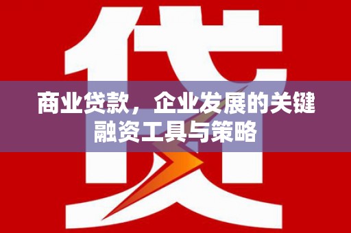 金湾商业贷款，企业发展的关键融资工具与策略
