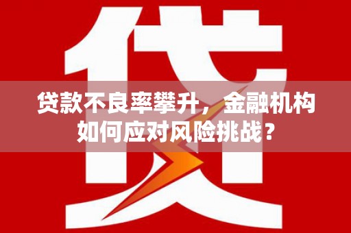 金湾贷款不良率攀升，金融机构如何应对风险挑战？