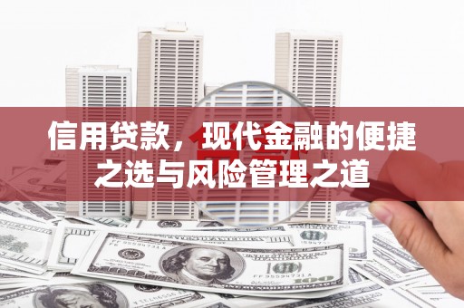 金湾信用贷款，现代金融的便捷之选与风险管理之道