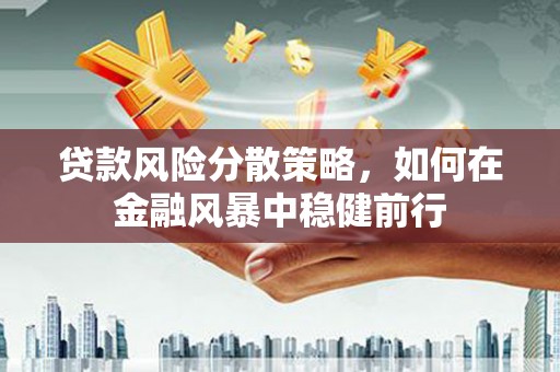 金湾贷款风险分散策略，如何在金融风暴中稳健前行