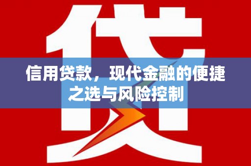 金湾信用贷款，现代金融的便捷之选与风险控制