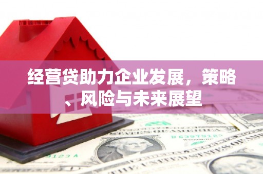 金湾经营贷助力企业发展，策略、风险与未来展望