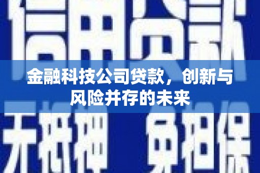 金湾金融科技公司贷款，创新与风险并存的未来