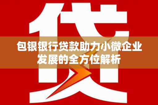 金湾包银银行贷款助力小微企业发展的全方位解析 金湾包银银行贷款助力小微企业发展的全方位解析