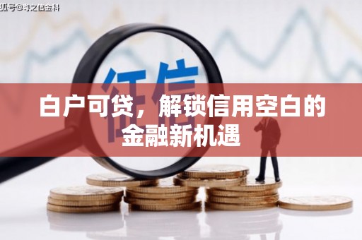 金湾白户可贷，解锁信用空白的金融新机遇