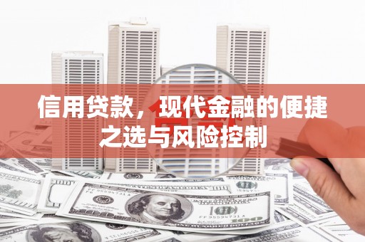 金湾信用贷款，现代金融的便捷之选与风险控制