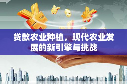 金湾贷款农业种植，现代农业发展的新引擎与挑战