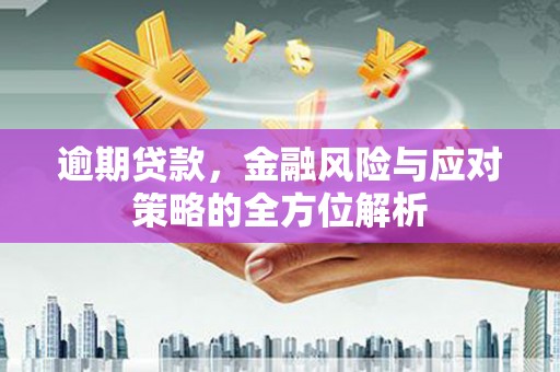 金湾逾期贷款，金融风险与应对策略的全方位解析
