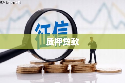 金湾质押贷款