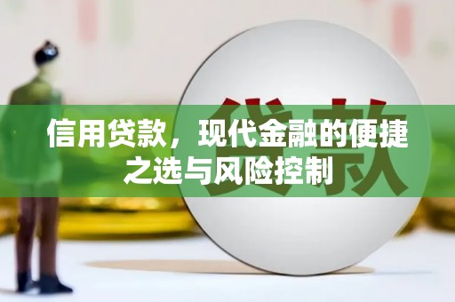 金湾信用贷款，现代金融的便捷之选与风险控制