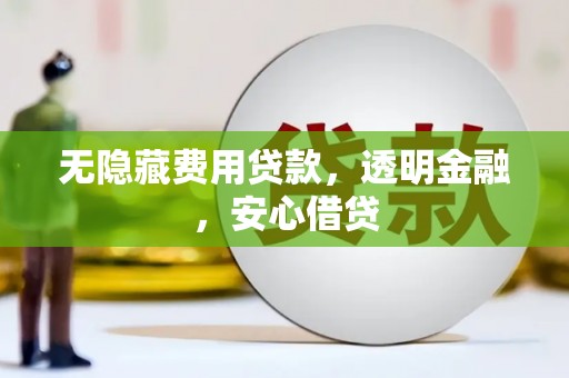 金湾无隐藏费用贷款，透明金融，安心借贷