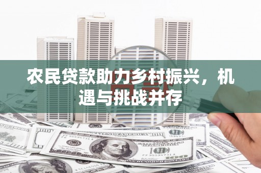 金湾农民贷款助力乡村振兴，机遇与挑战并存