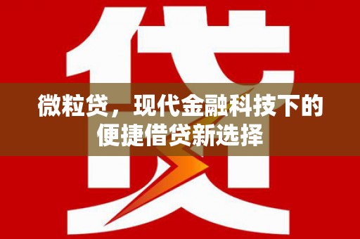 金湾微粒贷，现代金融科技下的便捷借贷新选择