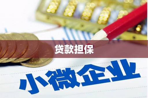 金湾贷款担保