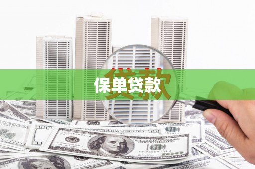 金湾保单贷款