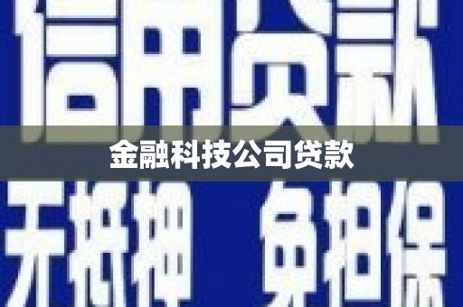 金湾金融科技公司贷款