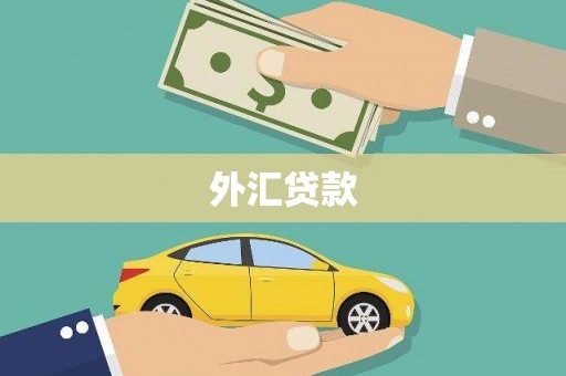 金湾外汇贷款