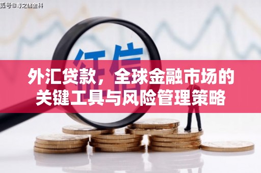 金湾外汇贷款，全球金融市场的关键工具与风险管理策略