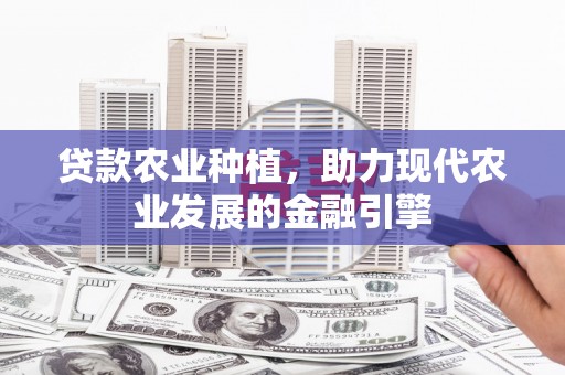 金湾贷款农业种植，助力现代农业发展的金融引擎