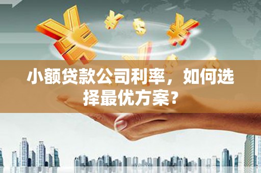 金湾小额贷款公司利率，如何选择最优方案？