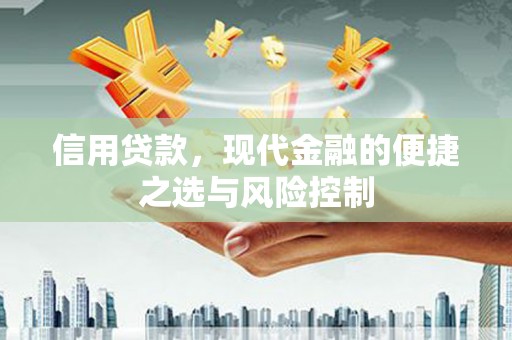 金湾信用贷款，现代金融的便捷之选与风险控制