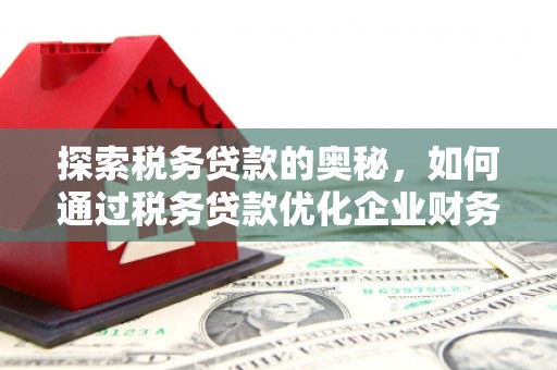 金湾探索税务贷款的奥秘，如何通过税务贷款优化企业财务