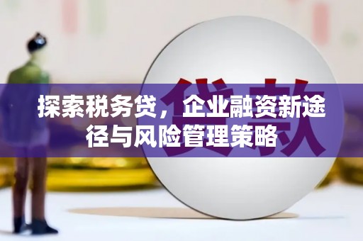 金湾探索税务贷，企业融资新途径与风险管理策略
