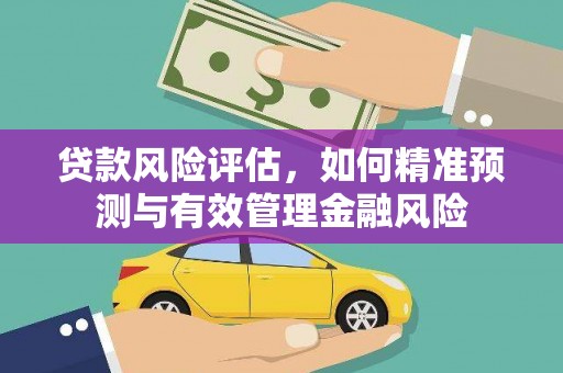 金湾贷款风险评估，如何精准预测与有效管理金融风险
