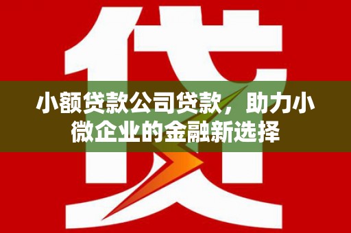 金湾小额贷款公司贷款，助力小微企业的金融新选择