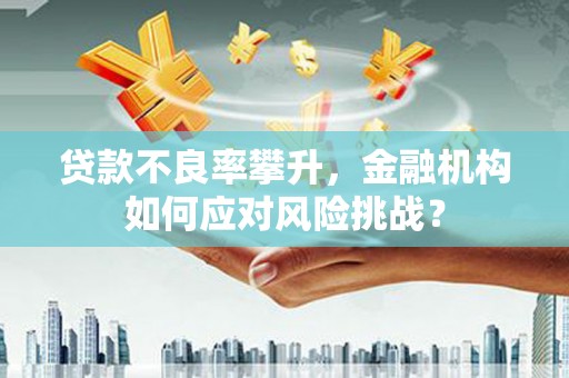 金湾贷款不良率攀升，金融机构如何应对风险挑战？