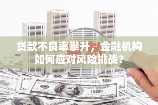 金湾贷款不良率攀升，金融机构如何应对风险挑战？