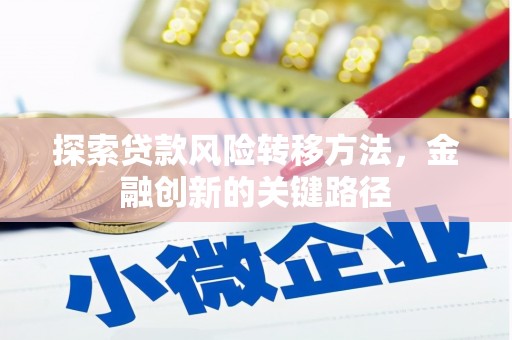 金湾探索贷款风险转移方法，金融创新的关键路径