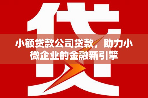 金湾小额贷款公司贷款，助力小微企业的金融新引擎