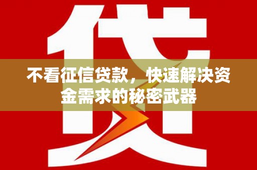 金湾不看征信贷款，快速解决资金需求的秘密武器