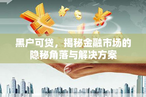 金湾黑户可贷，揭秘金融市场的隐秘角落与解决方案