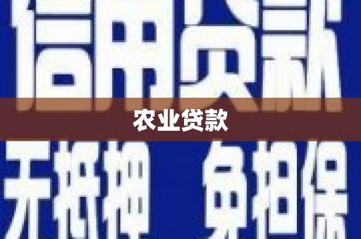 金湾农业贷款