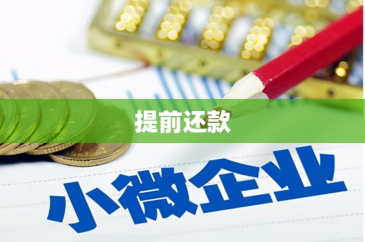 金湾提前还款