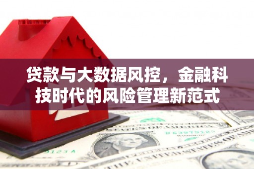 金湾贷款与大数据风控，金融科技时代的风险管理新范式