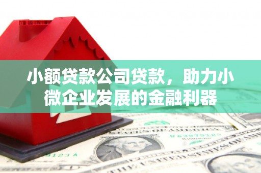 金湾小额贷款公司贷款，助力小微企业发展的金融利器