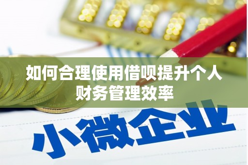 金湾如何合理使用借呗提升个人财务管理效率