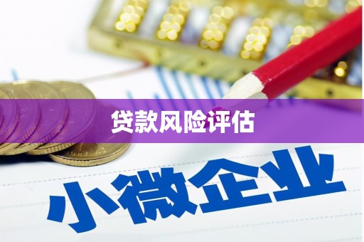 金湾贷款风险评估