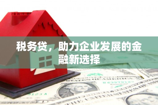 金湾税务贷，助力企业发展的金融新选择